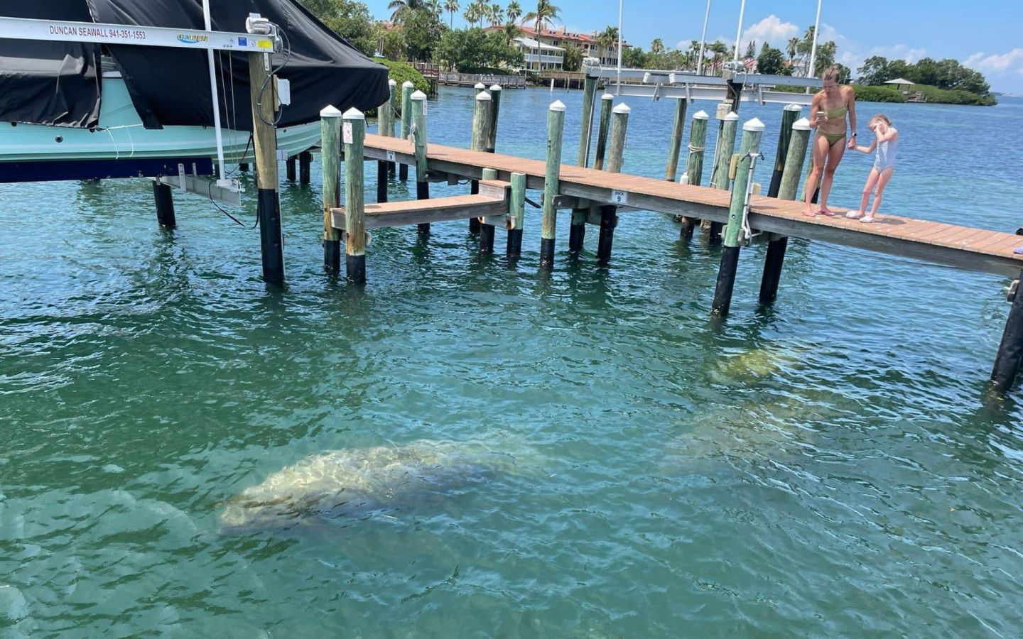 Angler fishing at Bradenton Beach