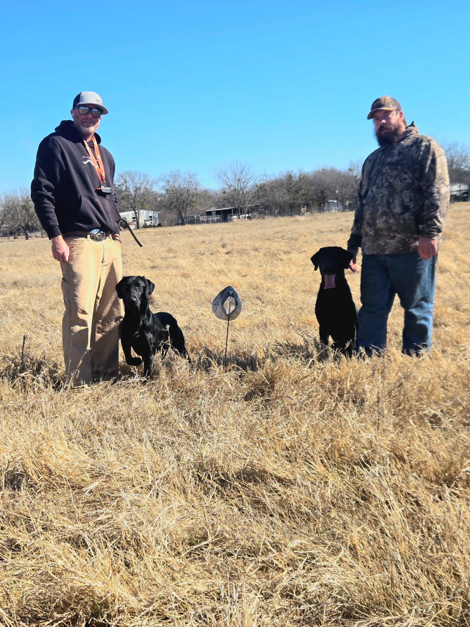 Two hunting dogs sitting in dried grass field in Carbon TX with hunters during hunting trip