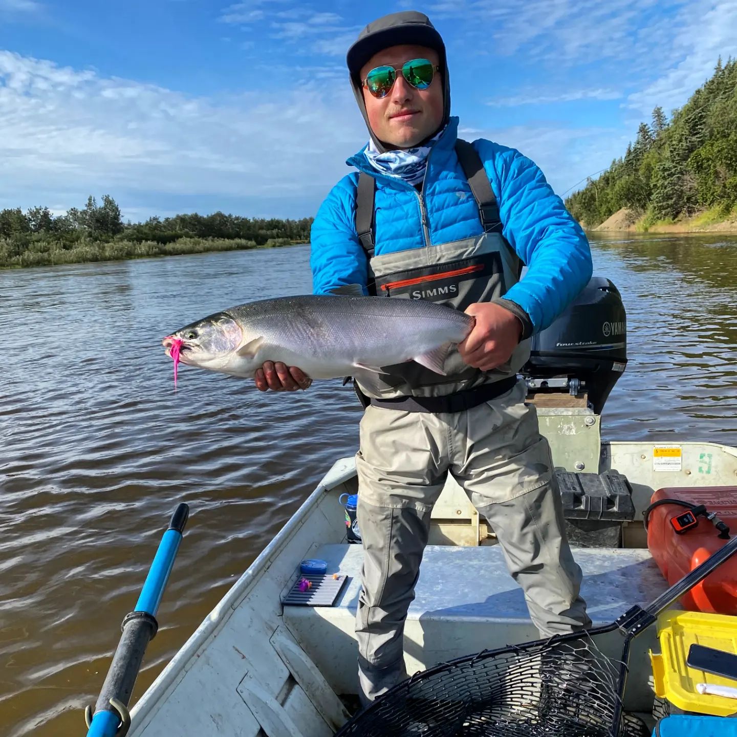 Coho salmon caught in Koliganek