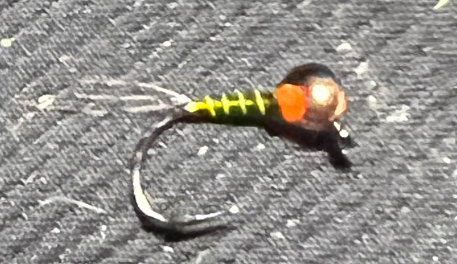 Fishing adventure in Princeton