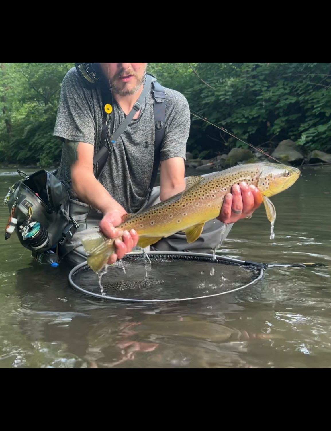 A scenic landscape with a fishing rod in West Virginia