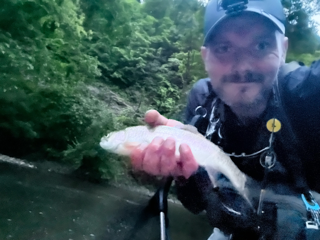 Angler fishing in West Virginia