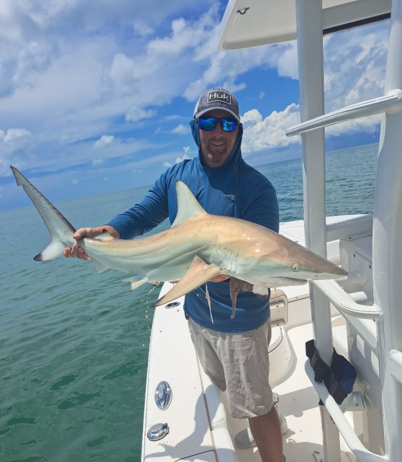 Blacktip shark fishing in FL