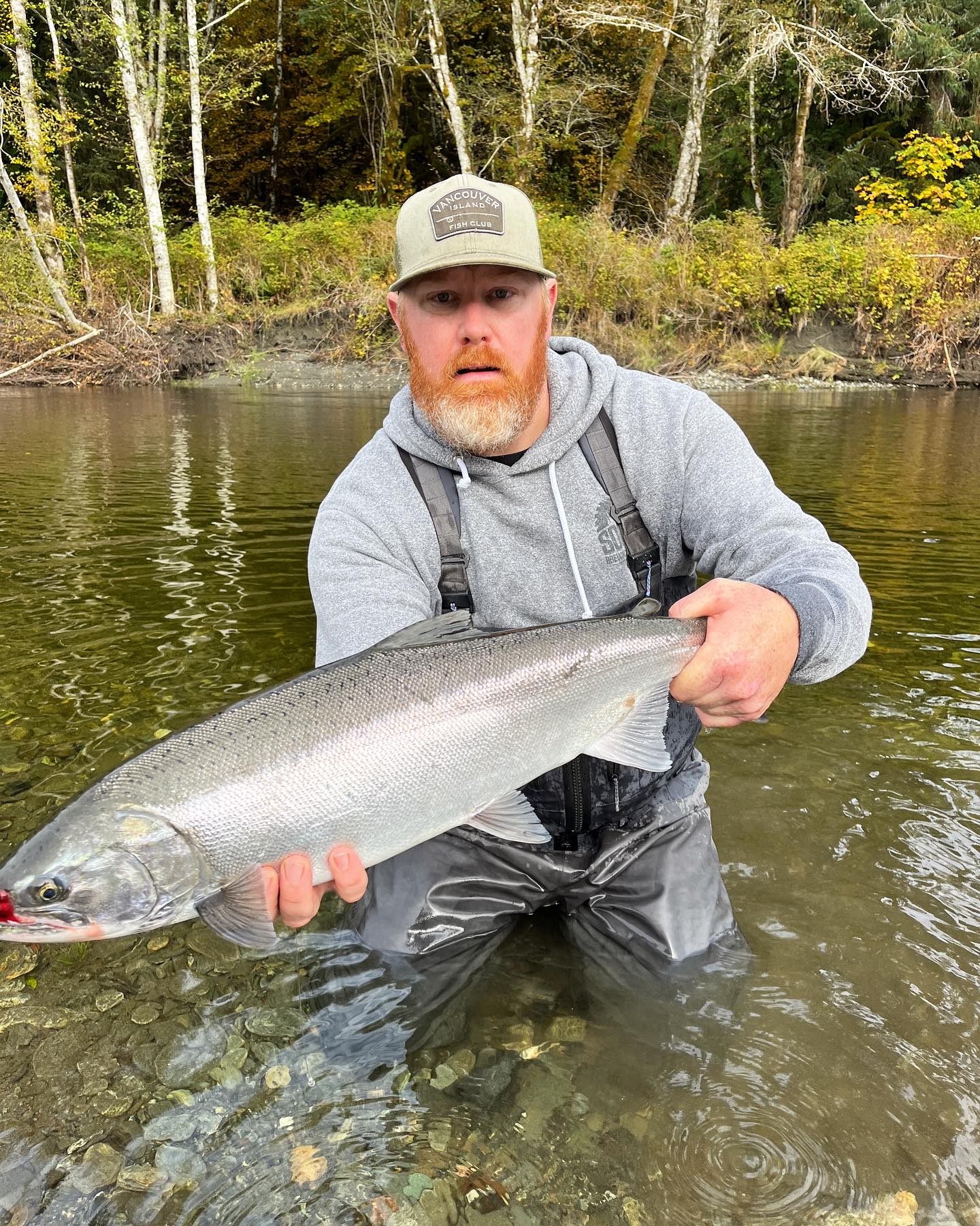 Chinook salmon being caught while fishing in BC