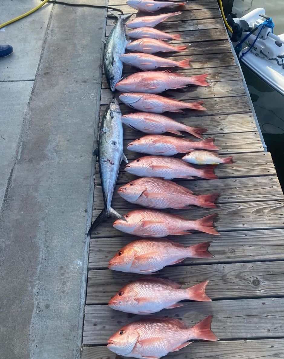 12 Grey Snapper and Wahoo Fish caught in Corpus Christi
