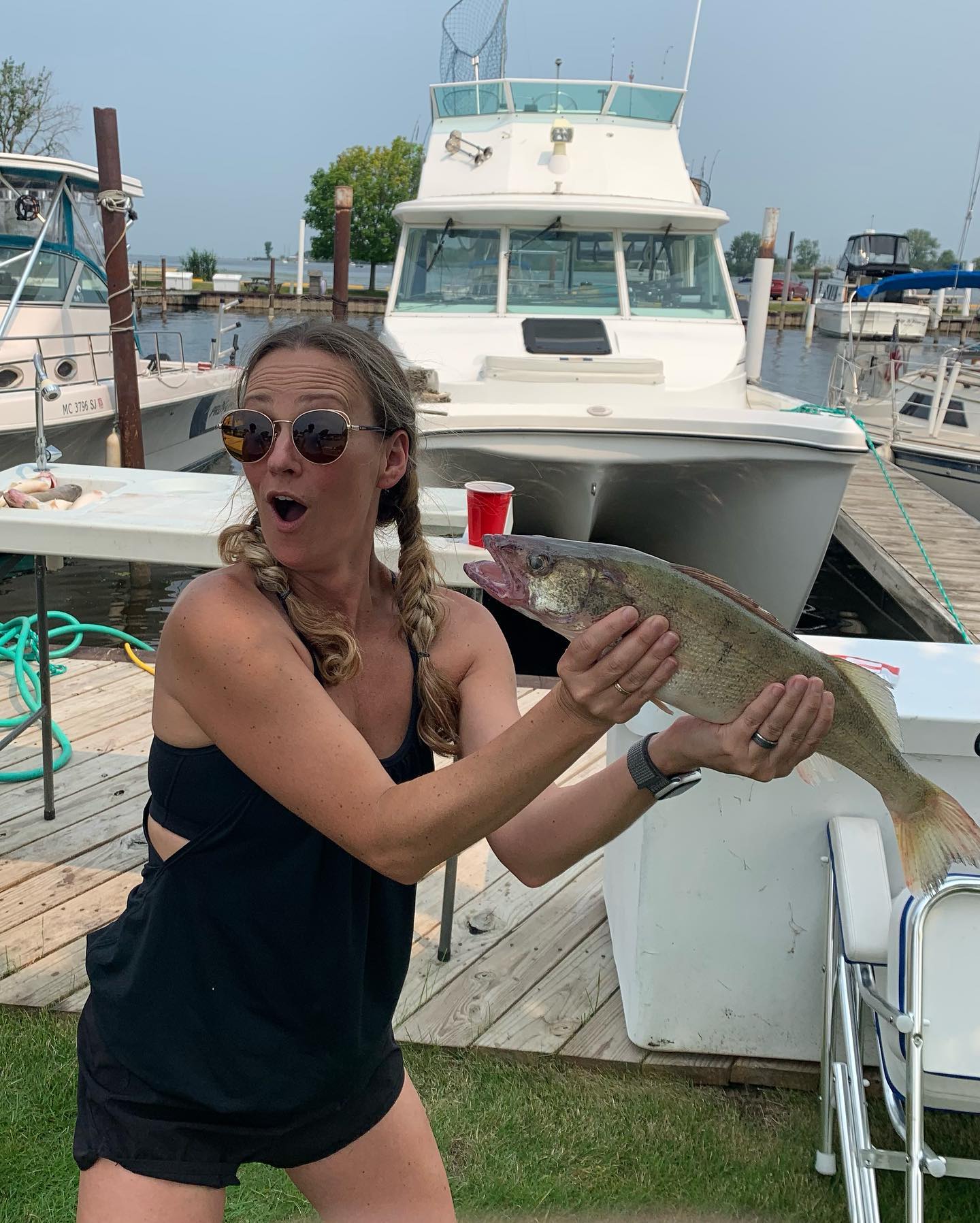 American Yellow Perch fish caught in MI