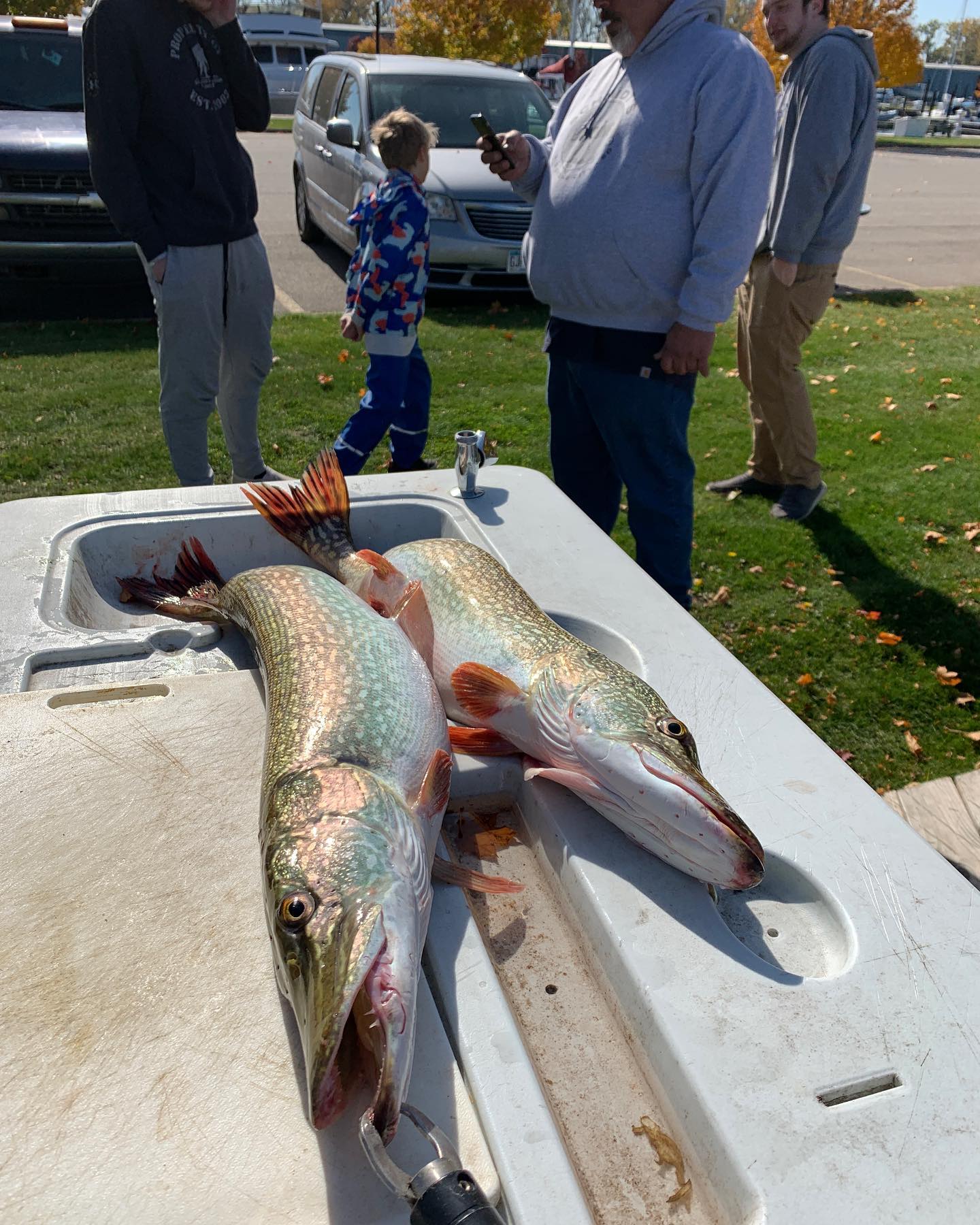 Successful Northern Pike fishing outing in MI