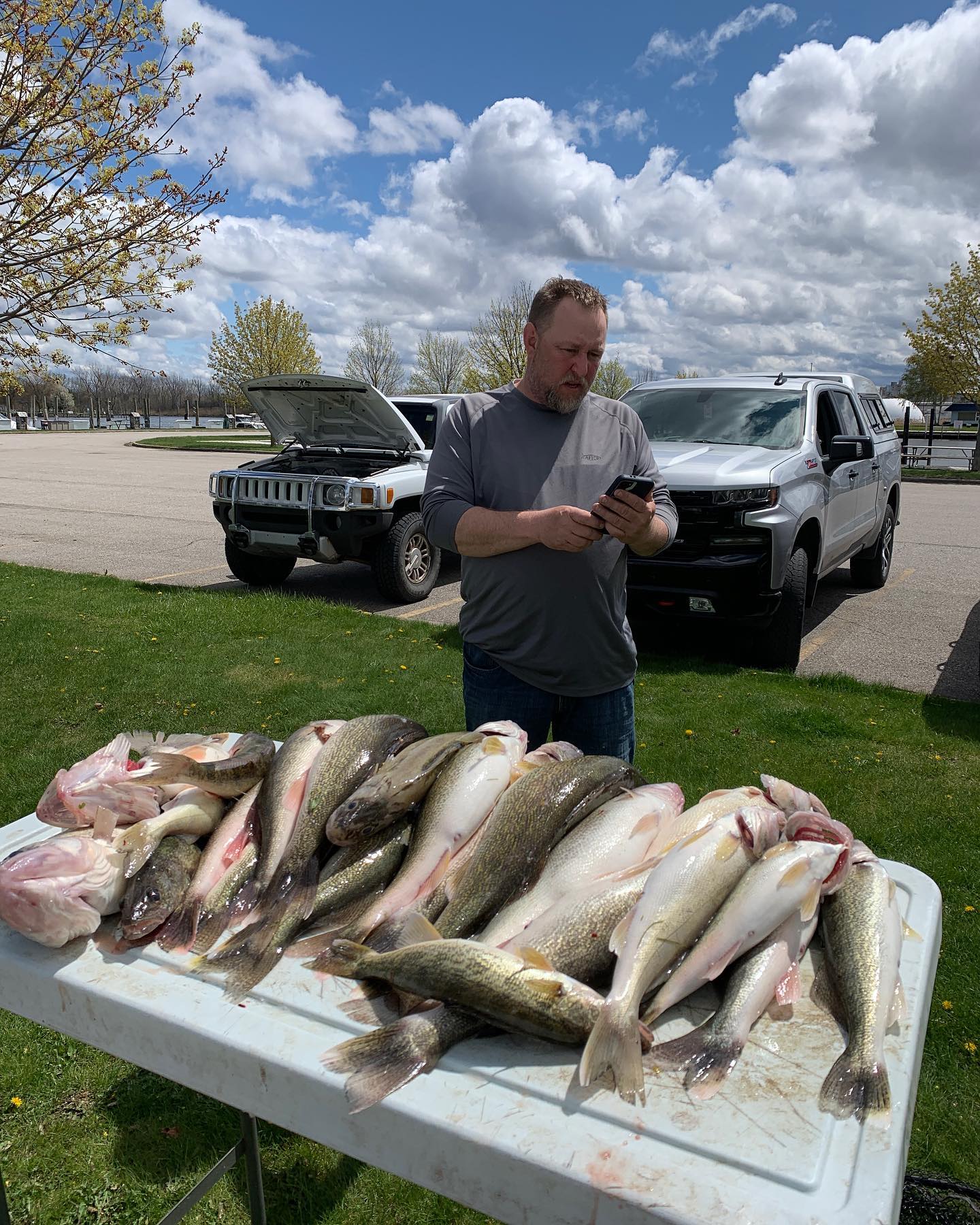 Three 17-inch fish caught while fishing in Bay City