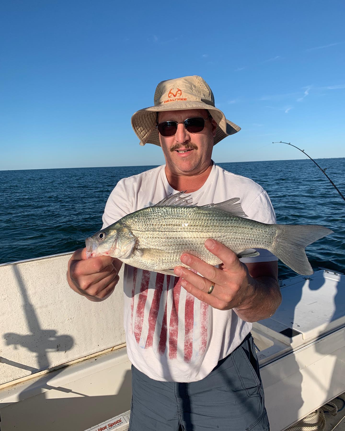A white bass fish caught in MI