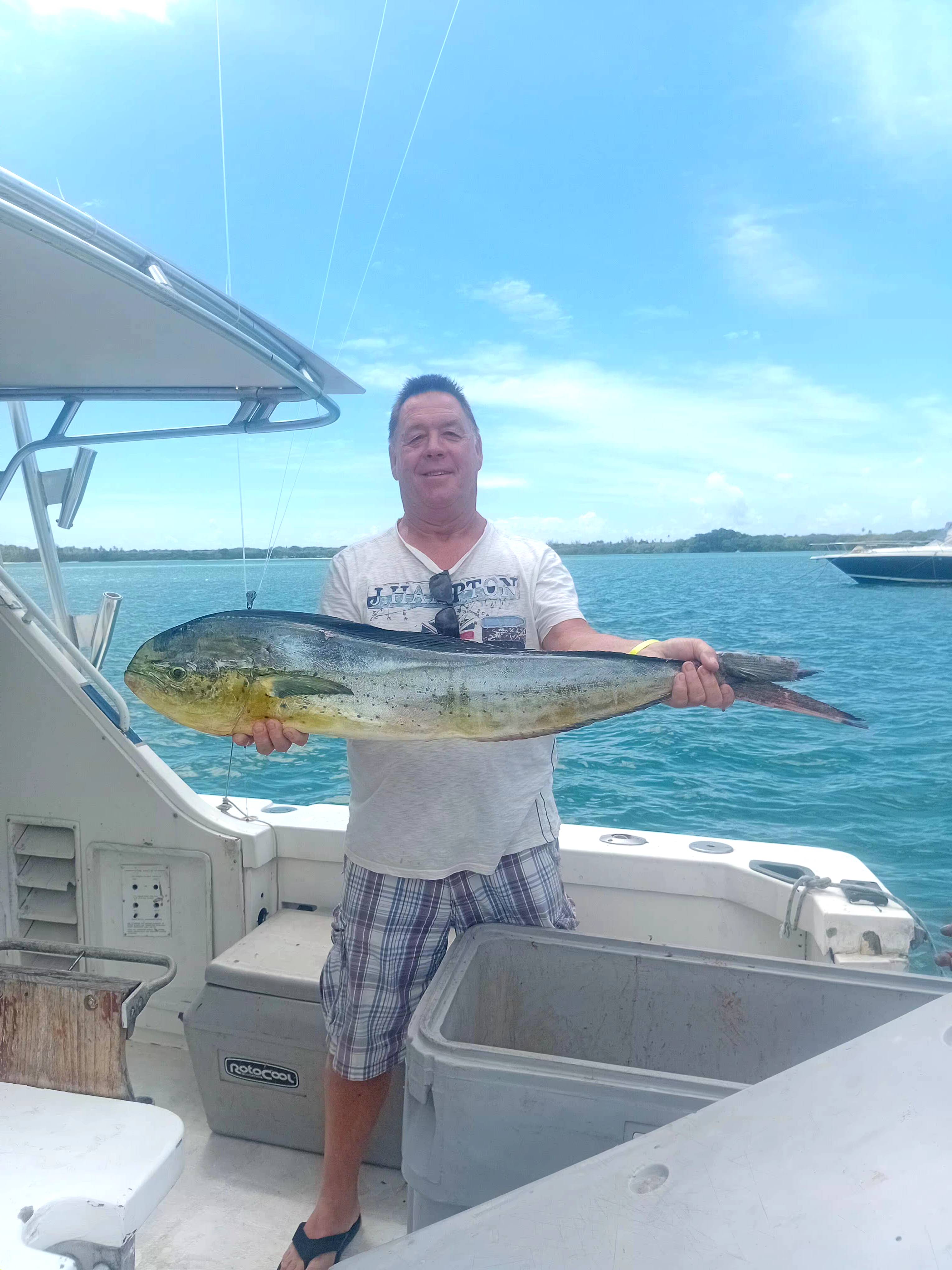 Fresh caught mahi mahi being displayed on fishing boat at Pigeon Point Beach