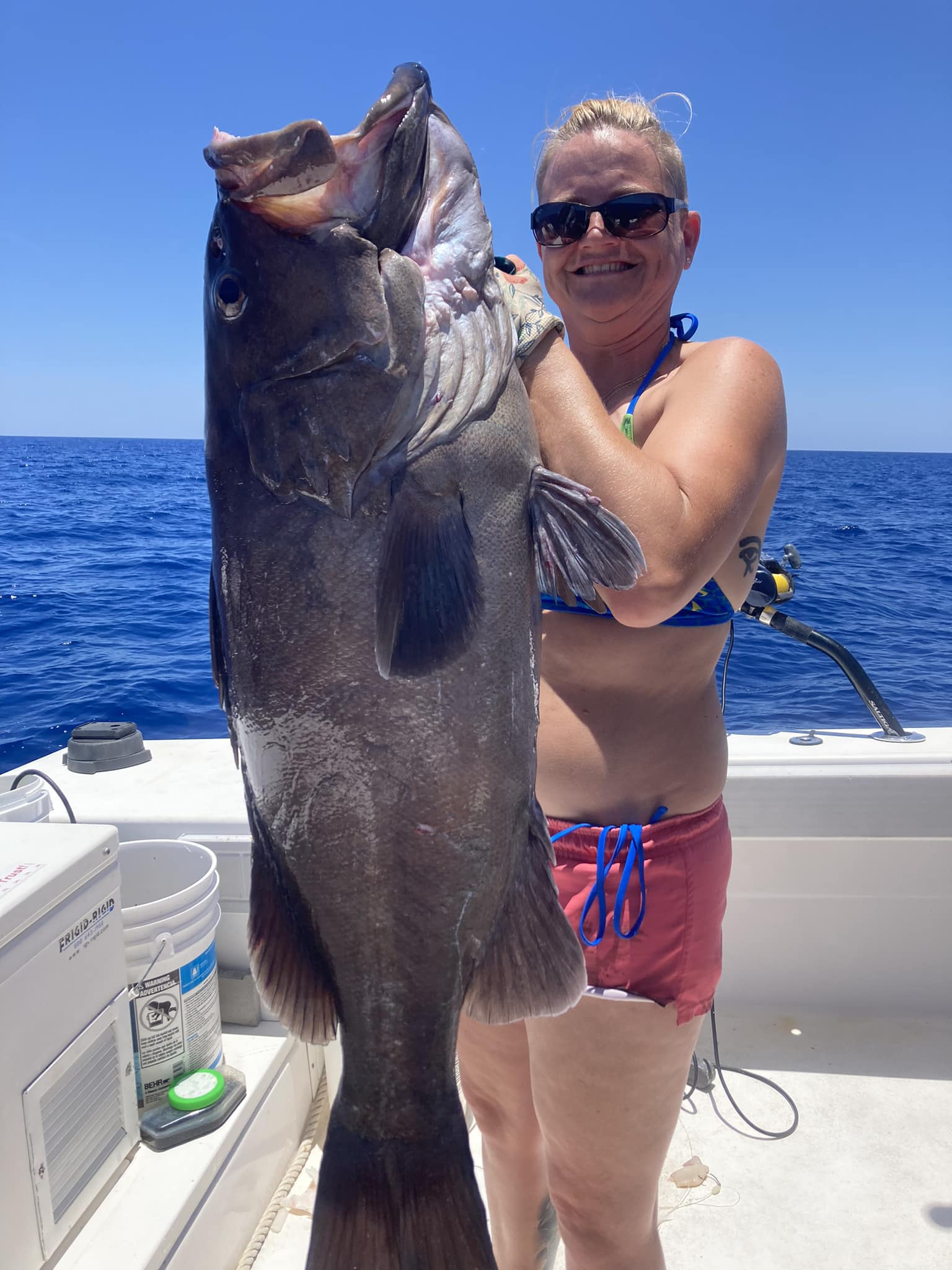 Large grouper fish caught while fishing in Little Torch Key FL