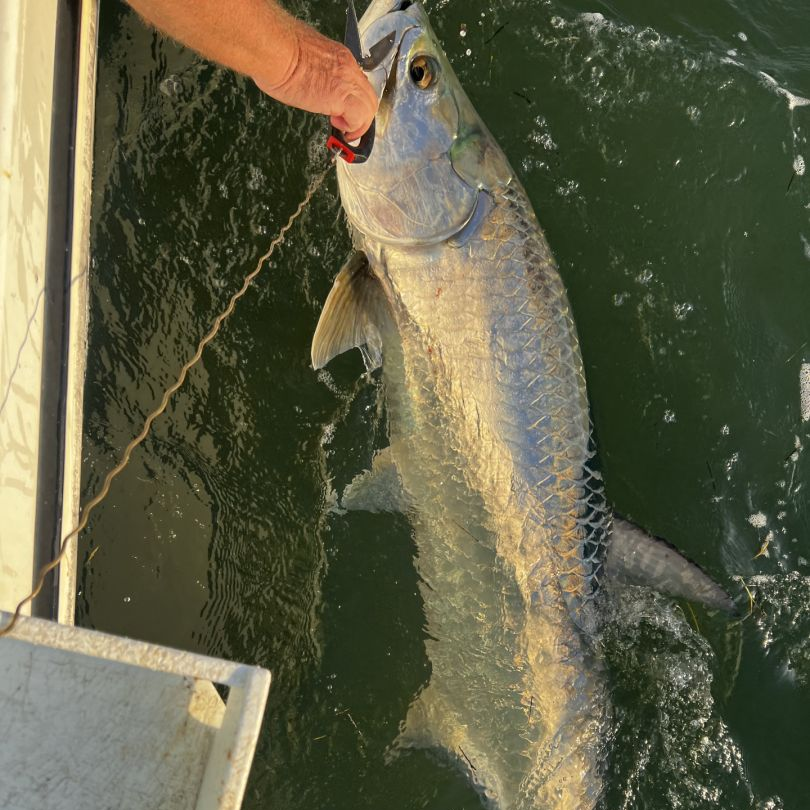 Florida Keys inshore fishing charter boat at sunset targeting tarpon near Little Torch Key