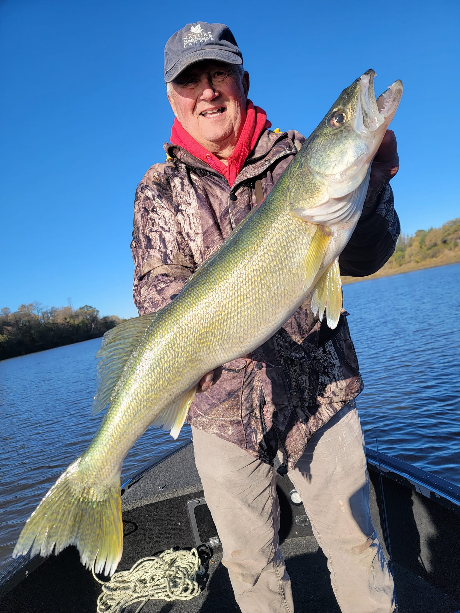 One fisherman with a 30-inch catch in MB