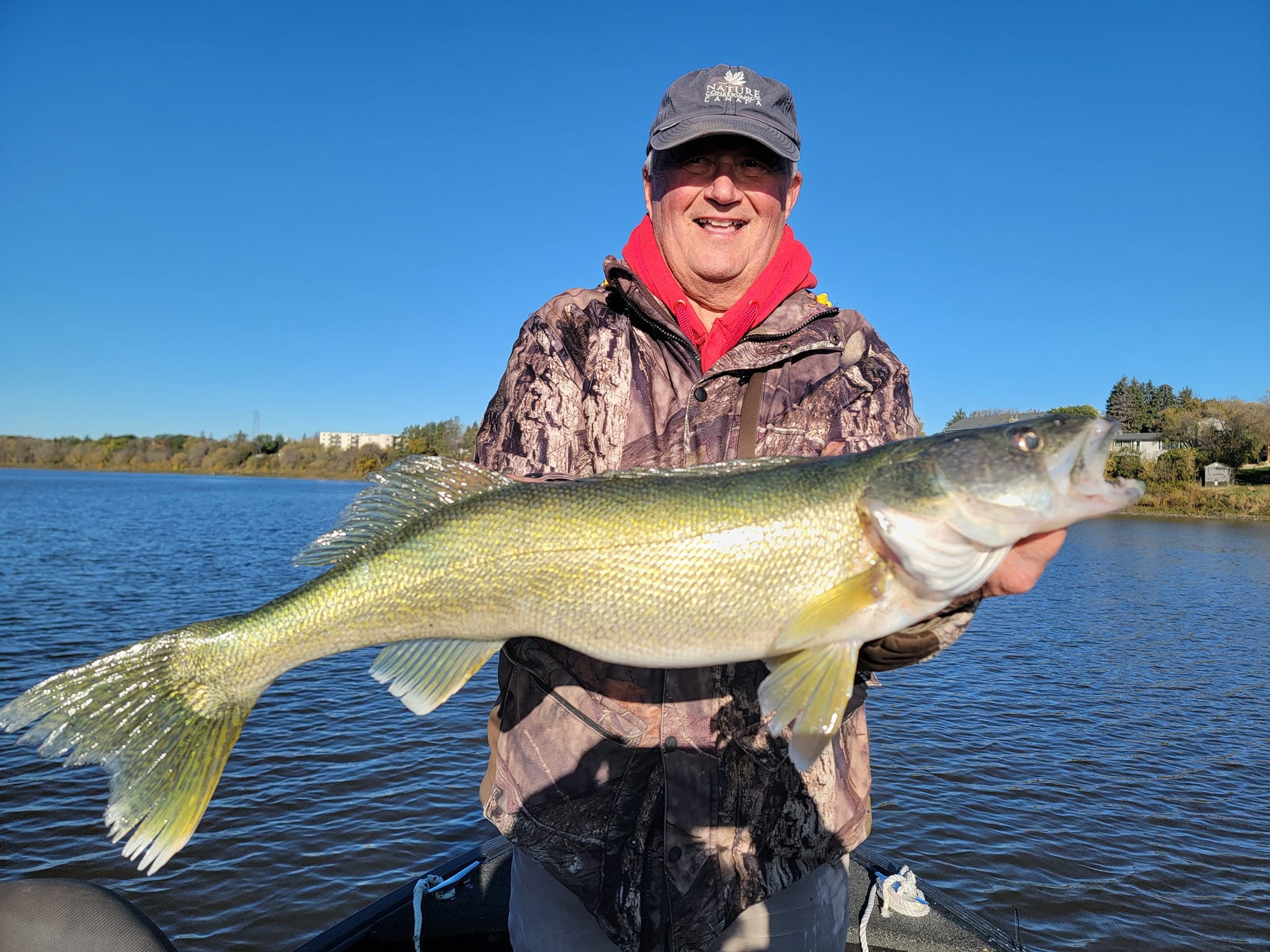 Pike-Perch fish caught in Manitoba