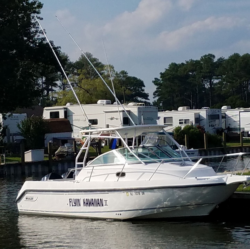 Boat Whaler