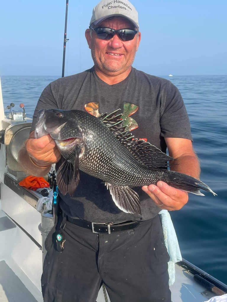 Sea Bass caught in New Jersey