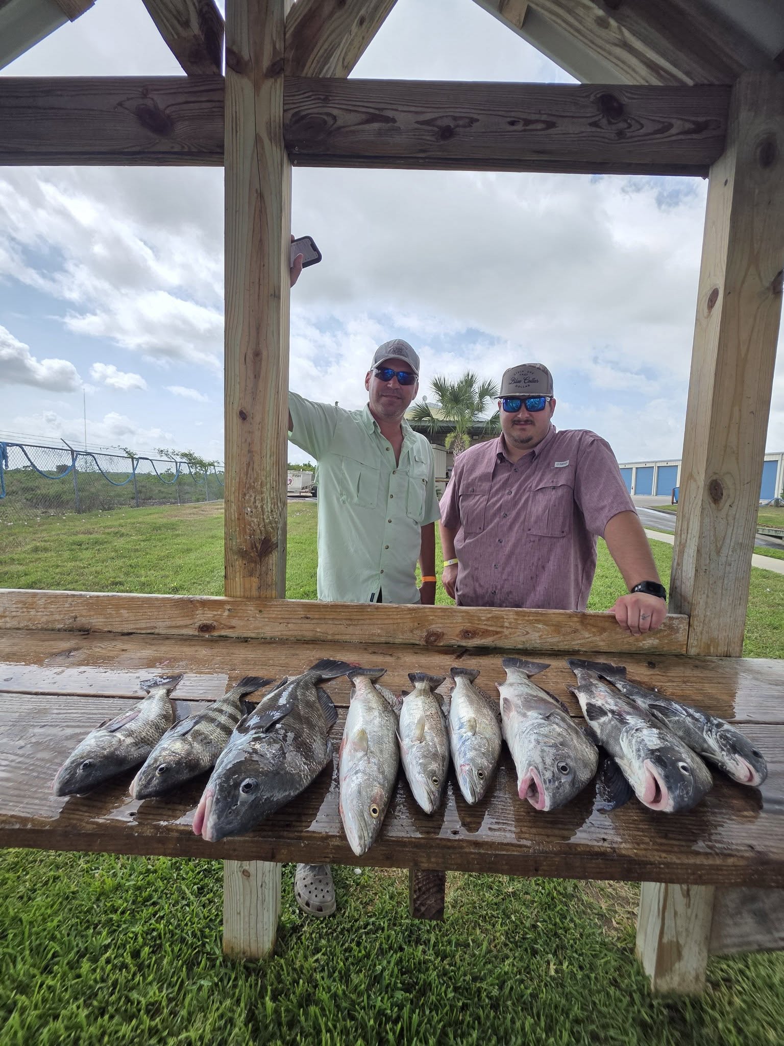 Fresh caught black drum displayed on wooden fish cleaning station in Texas City TX