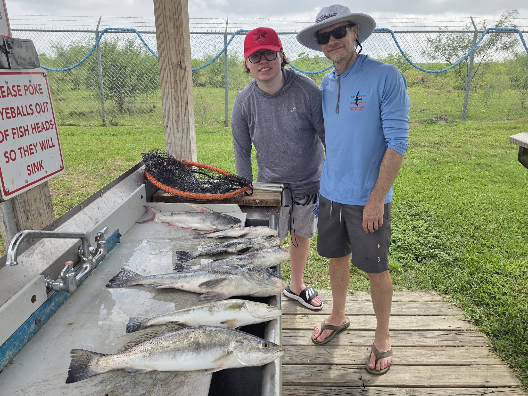 Fresh caught speckled trout displayed at fish cleaning station in Texas City TX