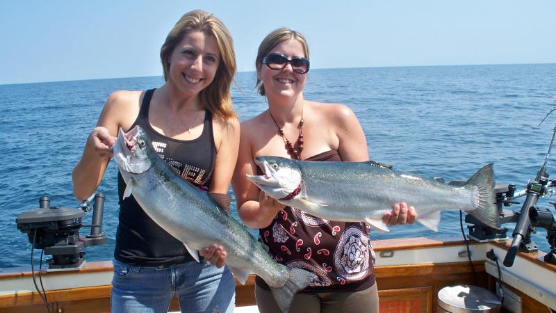 Two Coho Salmon, 22 inches long, caught while fishing in St. Catharines
