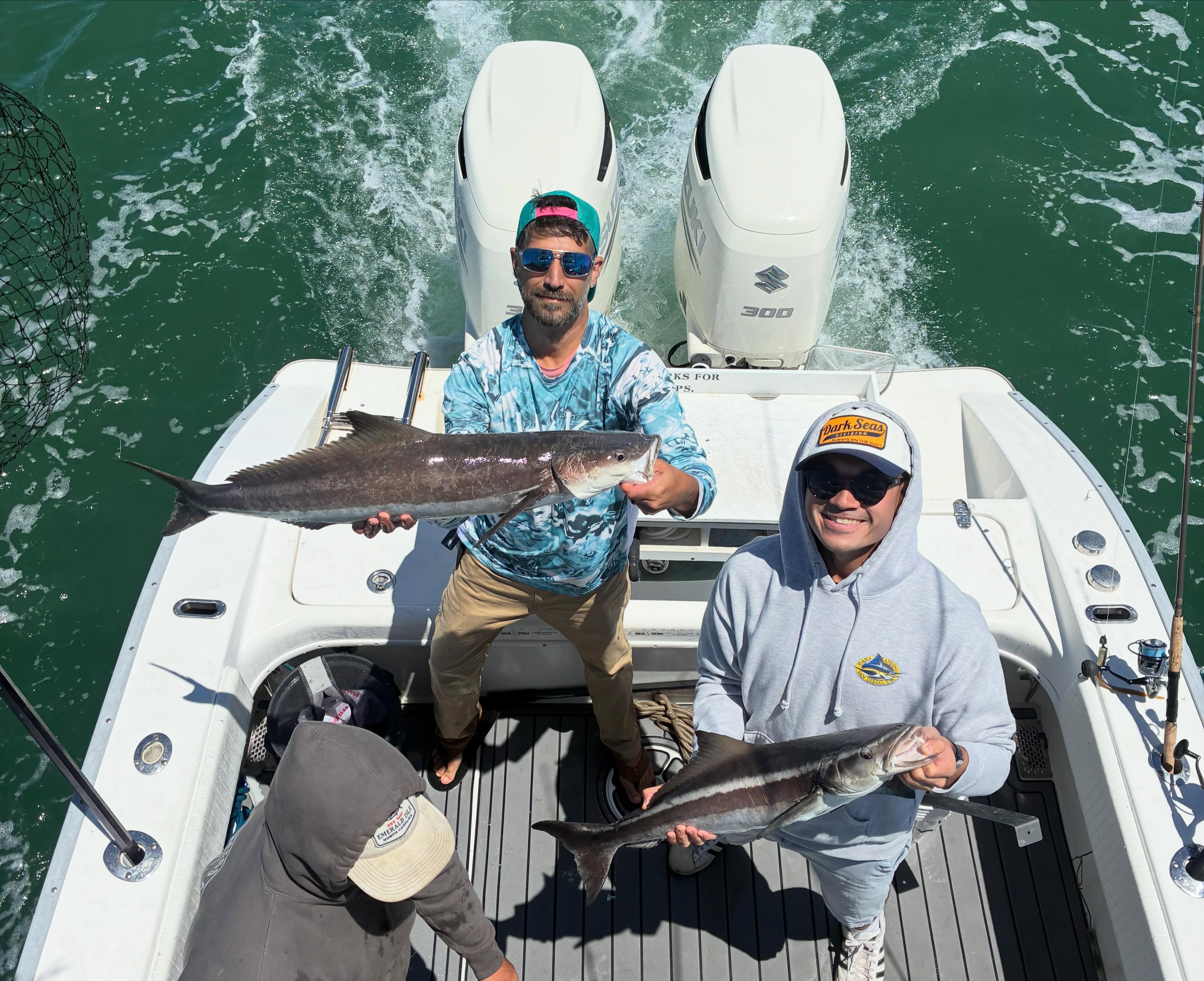 Two cobia fish caught during fishing trip in Norfolk VA on boat with twin outboard motors