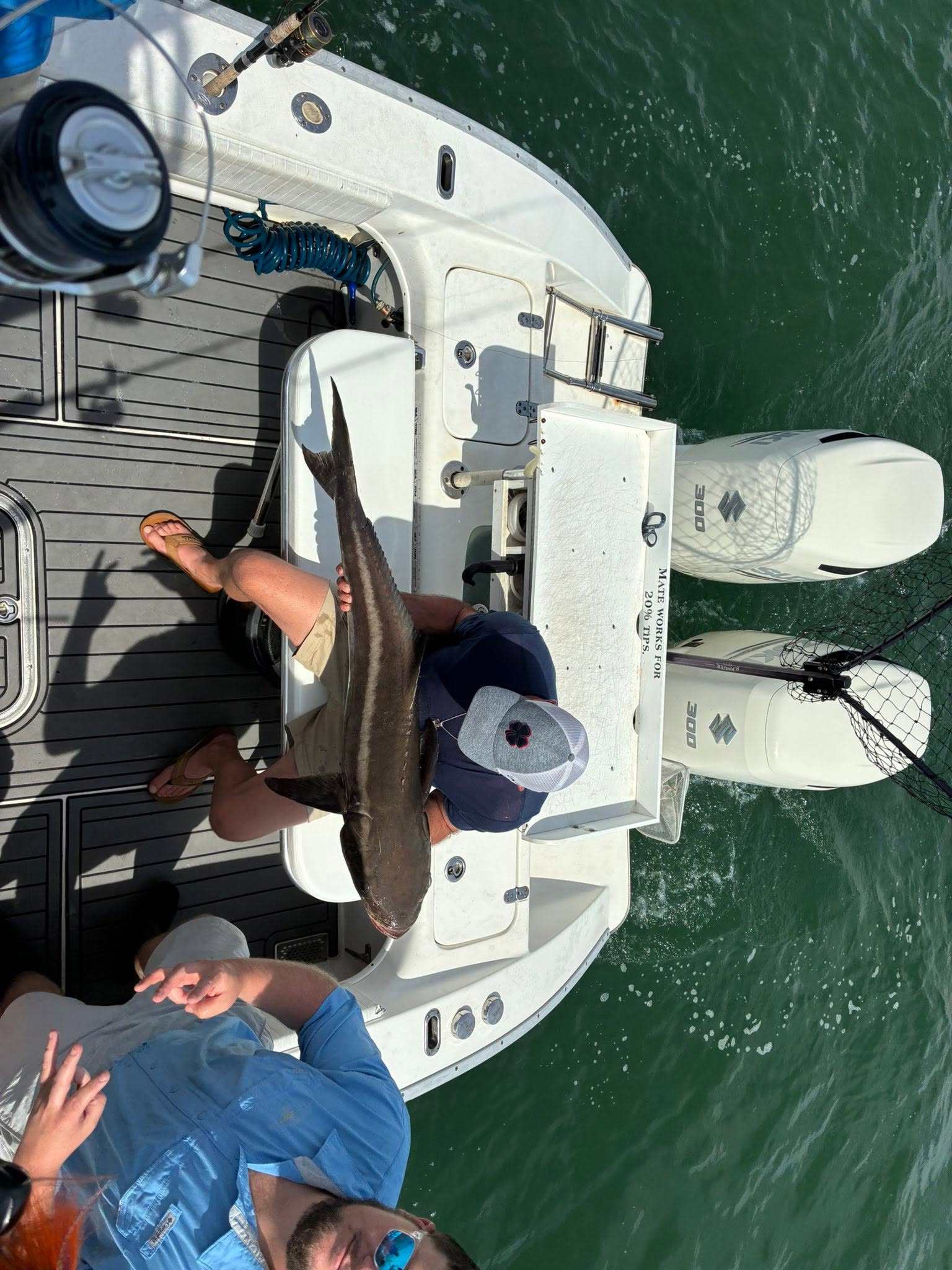Cobia caught during fishing trip in Norfolk VA waters displayed on boat deck