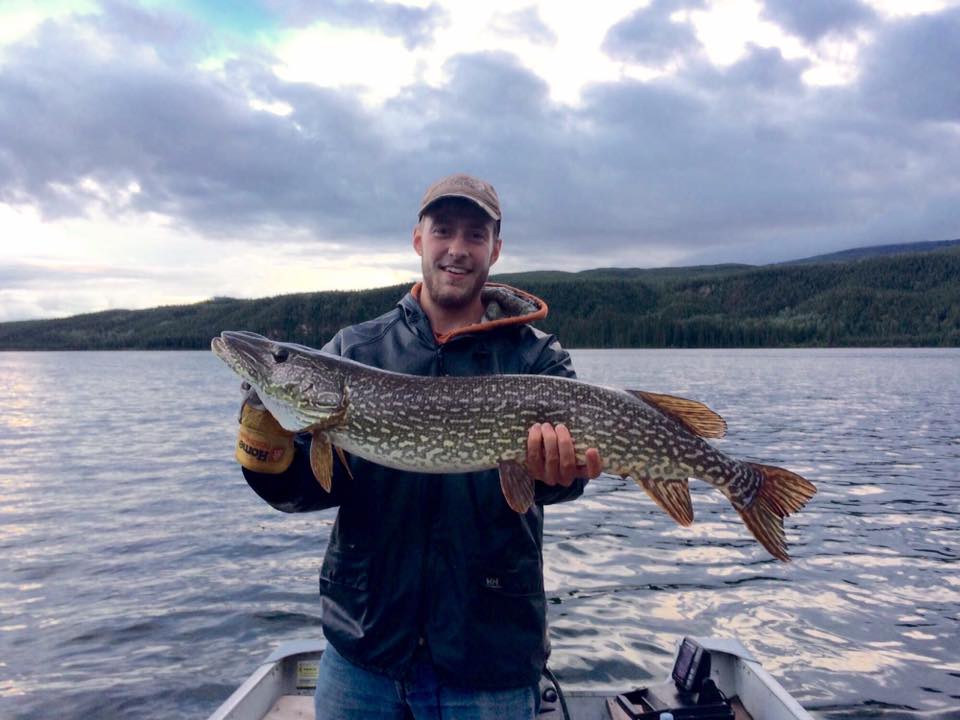 Image of a 36-inch Northern Pike caught while fishing in YT