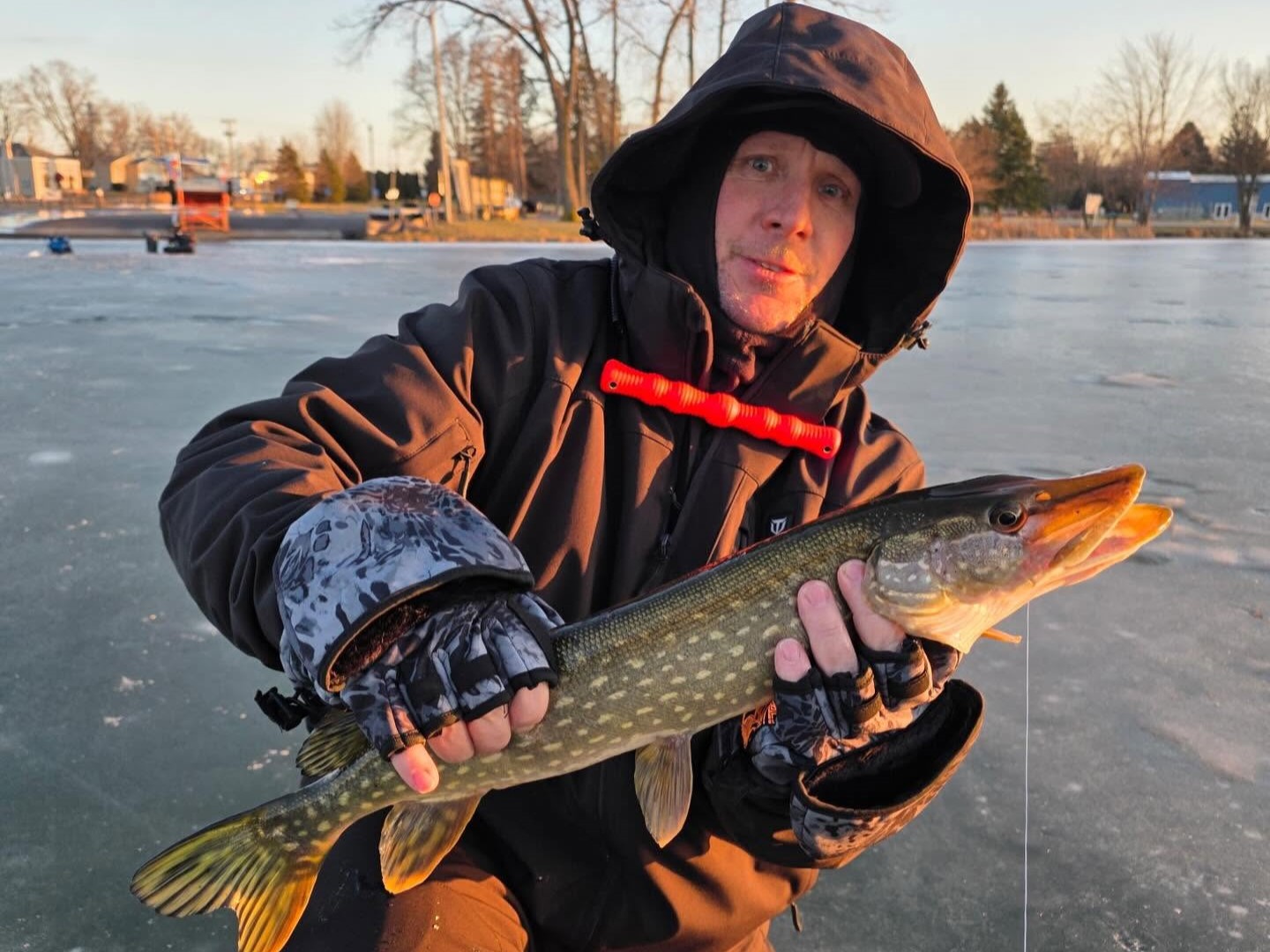 Ice fishing anglers in heated shack on frozen Southern Wisconsin lake catching perch and walleye