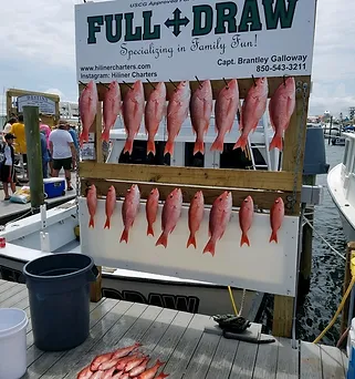 11 fishing in Destin