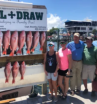8 great fish caught while fishing in Destin