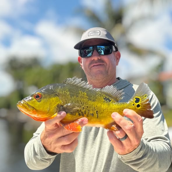 Peacock bass catch from fishing trip in Delray Beach Florida
