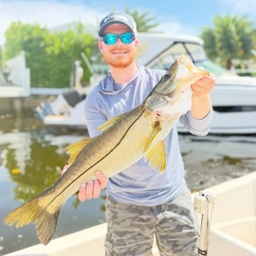 Snook catch displayed at marina dock in Delray Beach FL