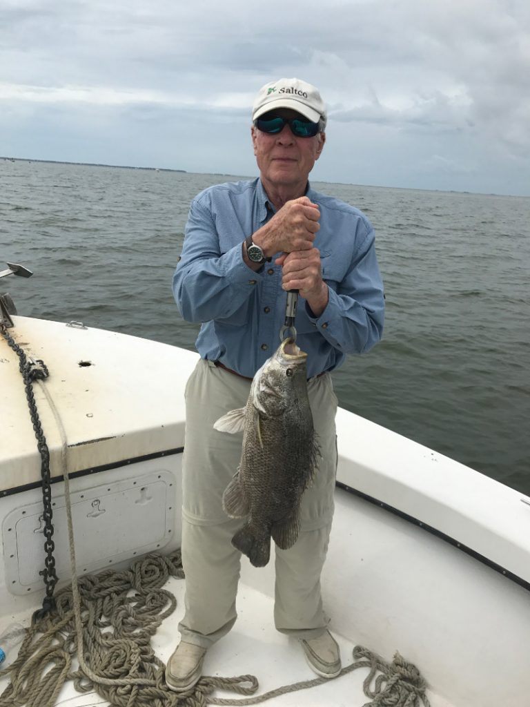 Tripletail fish caught by angler in Florida