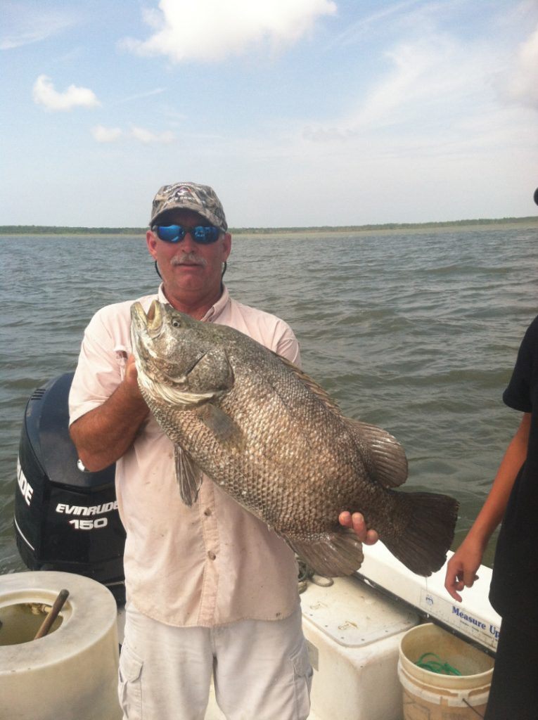 Tripletail fish caught in FL