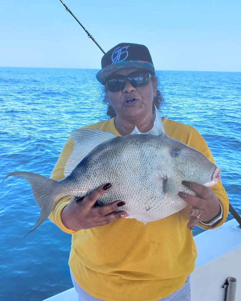 Photo of a grey triggerfish caught in FL, 21 inches long