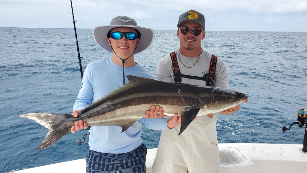 A majestic cobia, a 37-inch saltwater fish, caught in FL