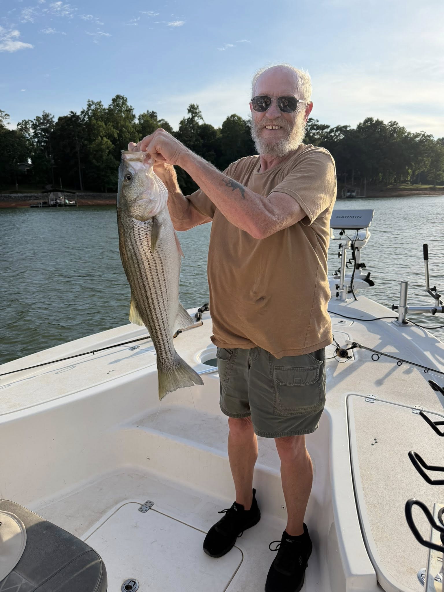 Striped bass catch displayed on fishing boat in Townville SC