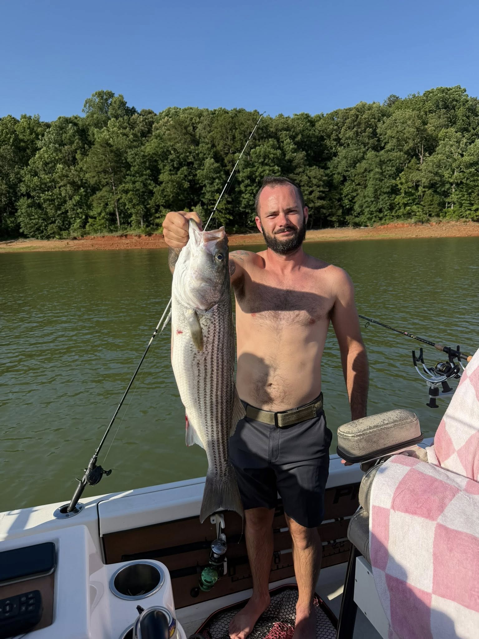 Striped bass catch held on fishing boat in Townville SC