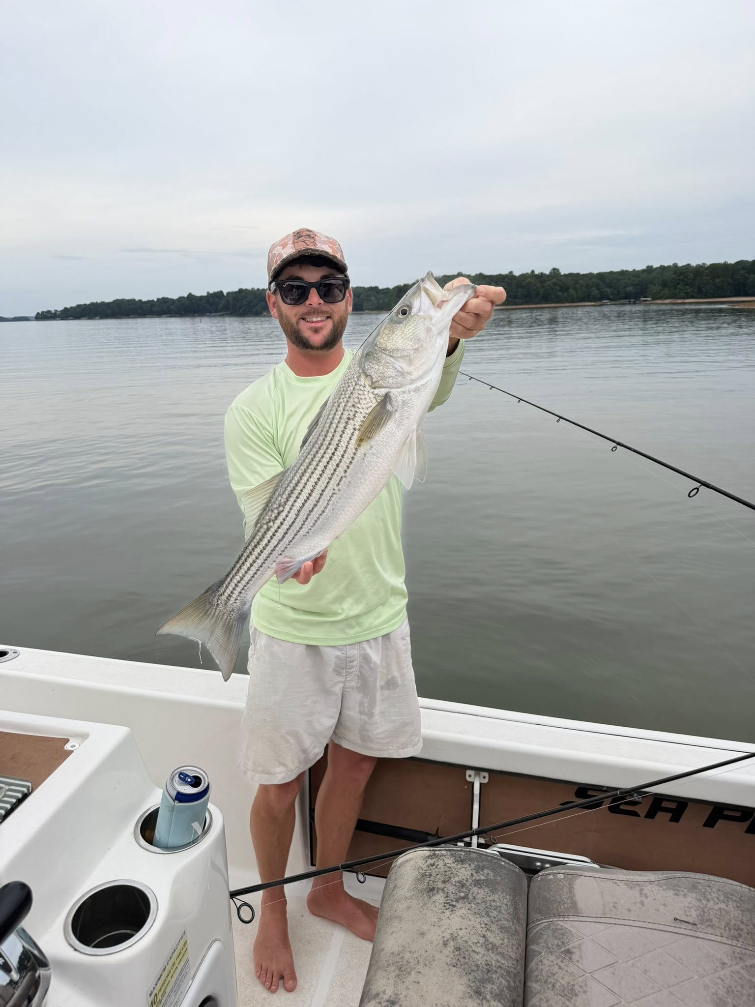Striped bass catch on boat in Townville SC