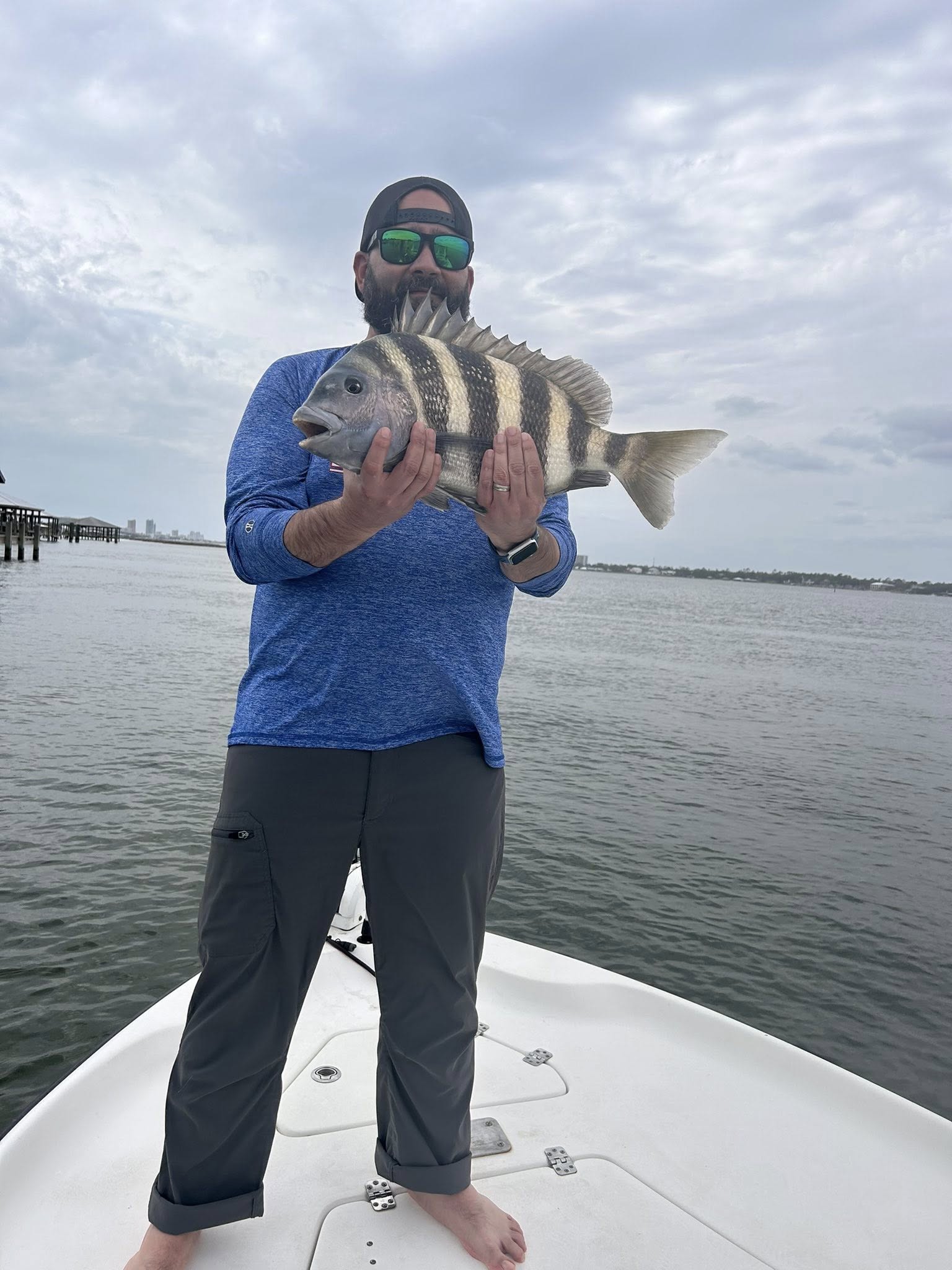 Sheepshead fish being held on fishing boat in Pensacola FL waters