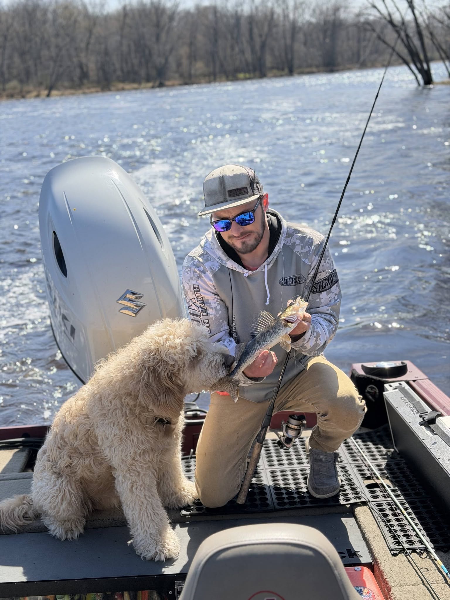 Walleye caught while fishing on boat in Mosinee WI with dog companion