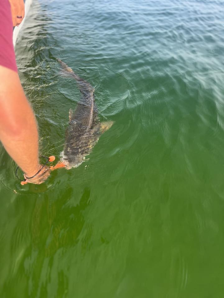 Best fishing on Okaloosa Island