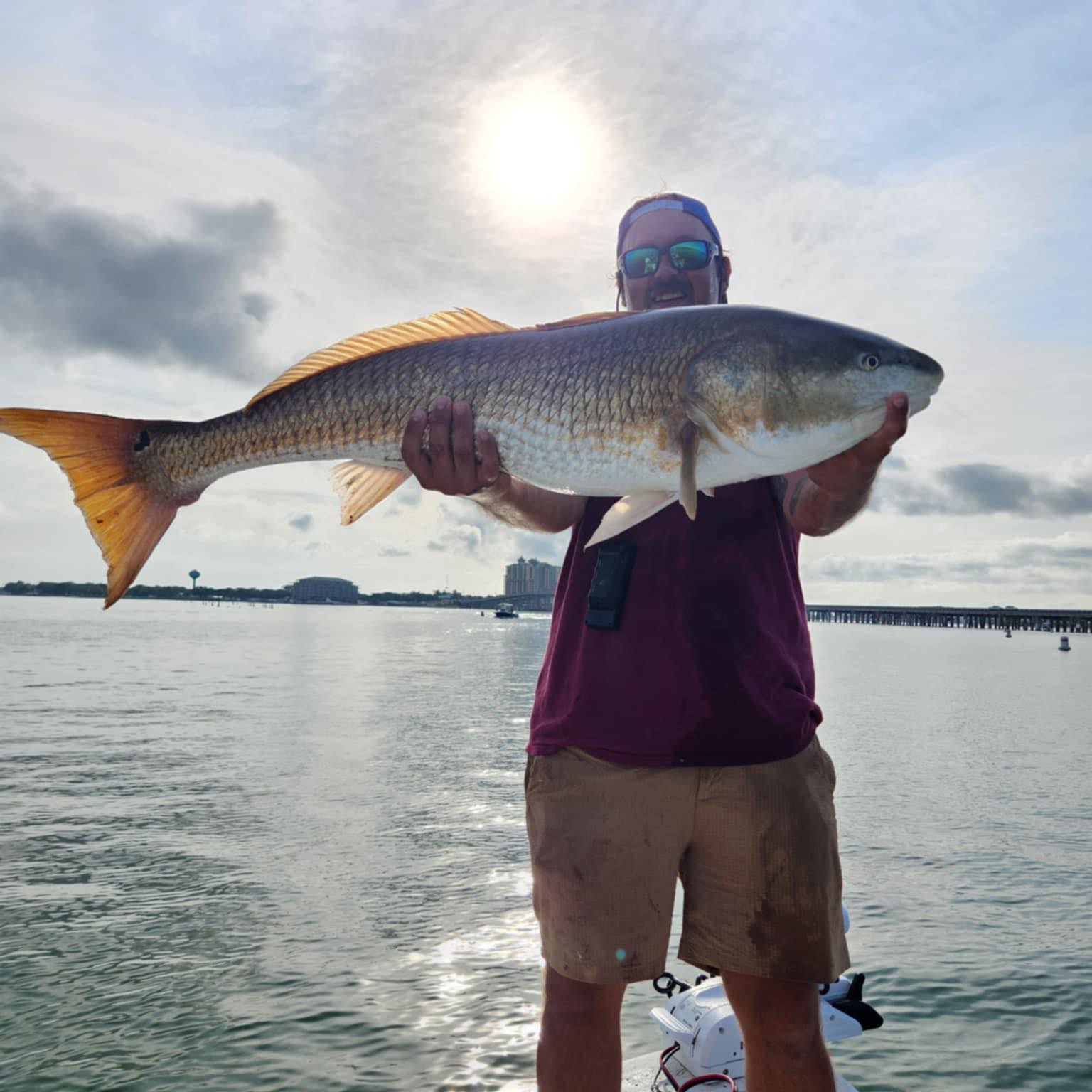 Redfish caught while fishing in Florida