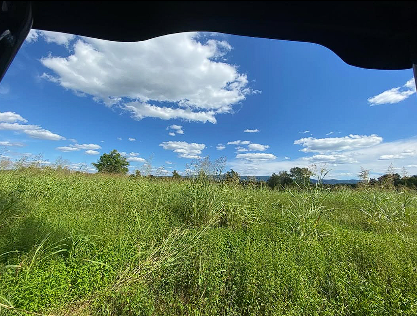 Green grass field with scattered trees under blue sky with white clouds in Hallettsville TX hunting area