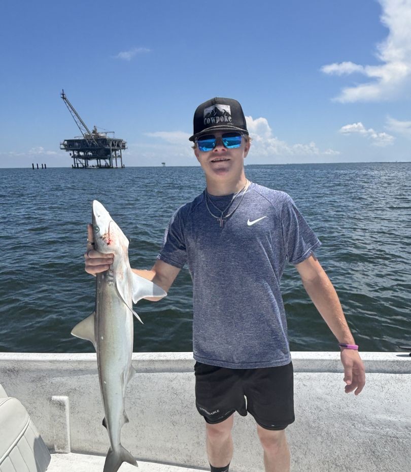 Atlantic Sharpnose Shark caught while fishing in Alabama