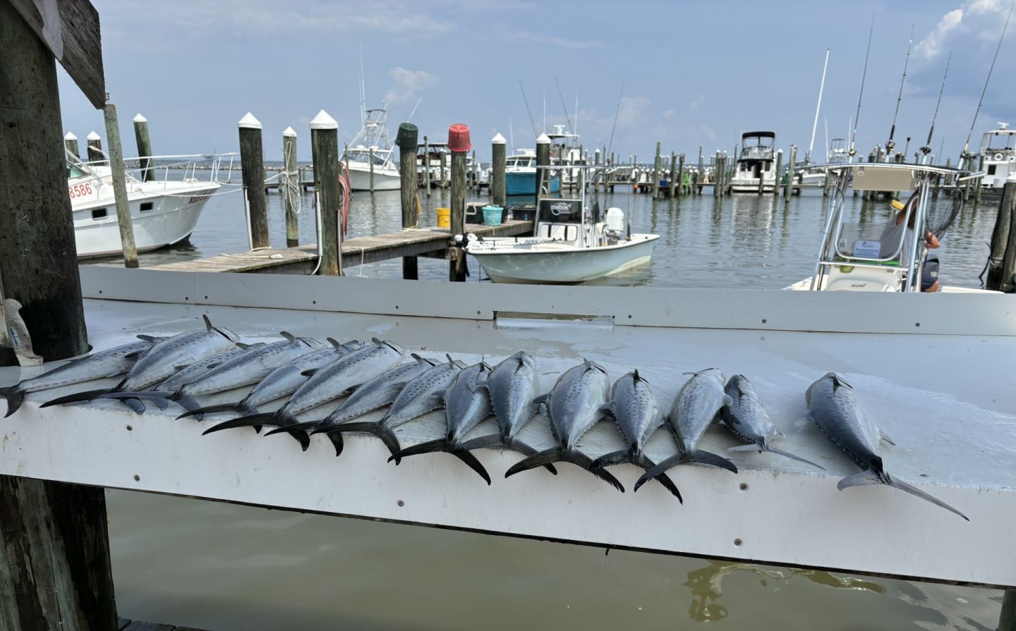Fishing at an unknown location