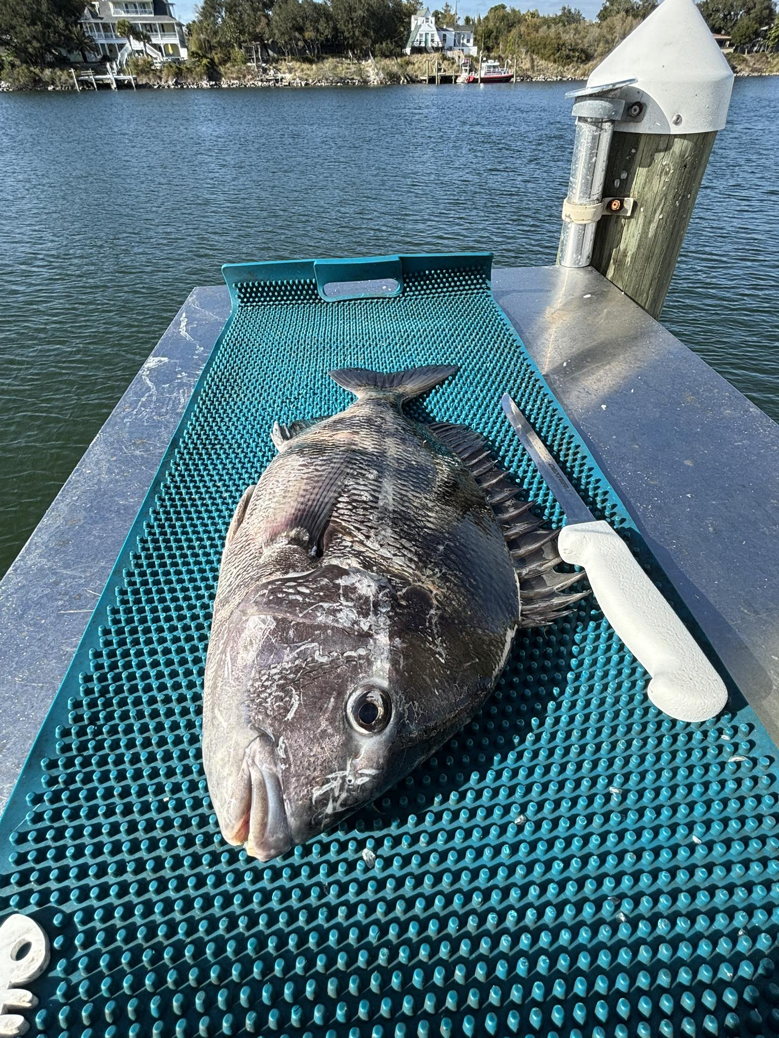 Fishing in FL