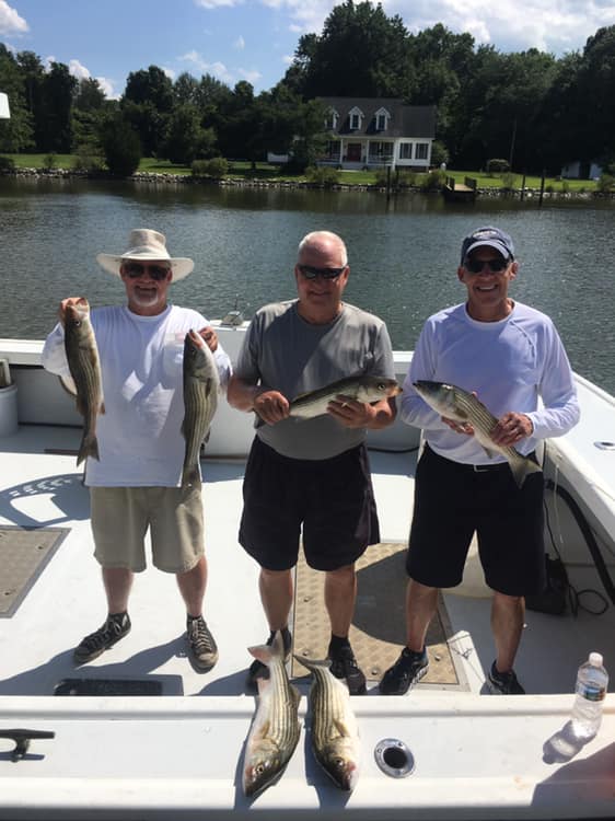 Four big fish caught in Maryland while fishing