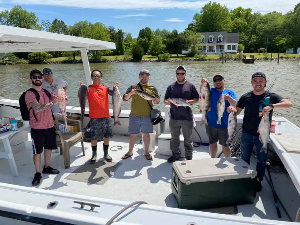 4 big fish caught by 7 people in Deale