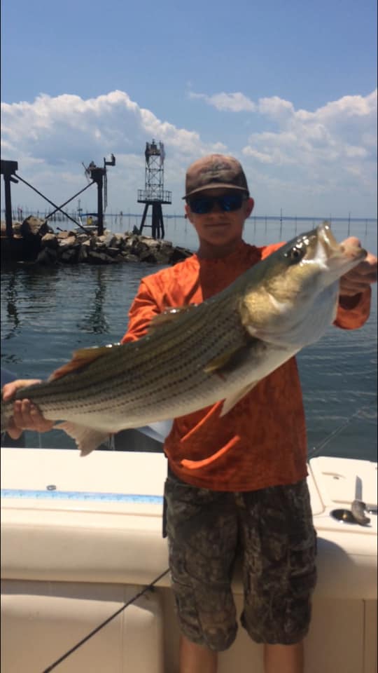 Striped Bass, 27 inches, caught in Deale