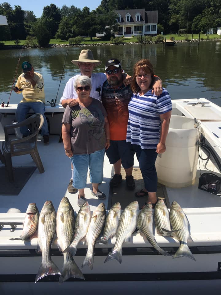 5 striped bass caught in MD